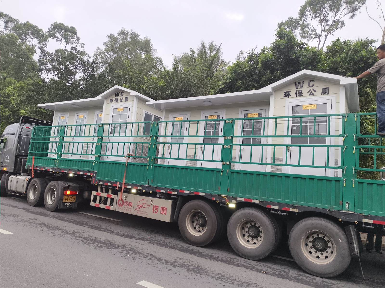 叶钱树 2025-03-01 07-32-17